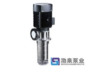 CDLK/CDLKF浸入式多級不銹鋼循環泵