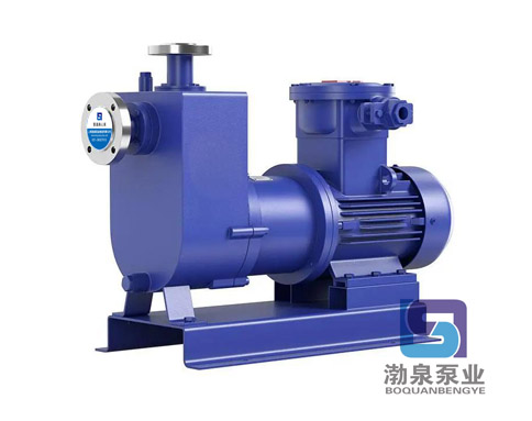 ZCQ65-50-160_自吸磁力泵_不銹鋼自吸磁力泵