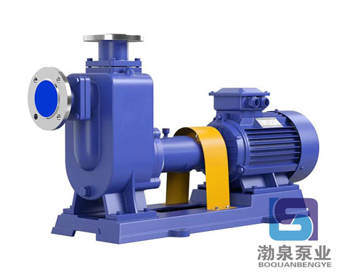 ZW65-25-30P_不銹鋼自吸排污泵