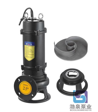 50WQ10-10-0.75QG_高揚程切割污水泵