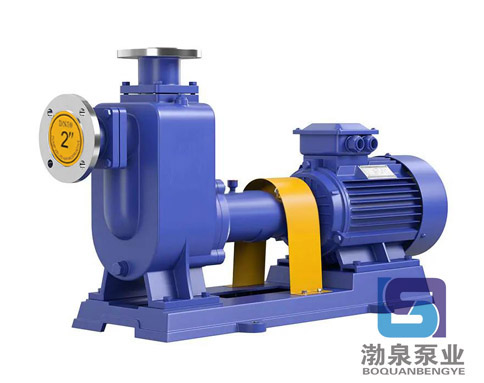 ZW80-50-60_無堵塞高揚(yáng)程自吸式排污泵