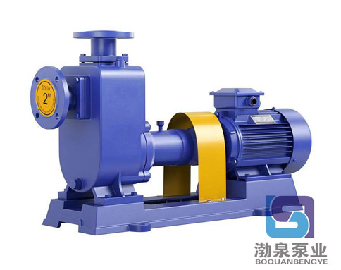 65ZX25-70_自吸離心泵